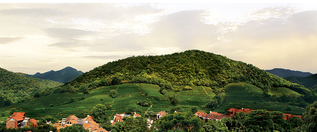 今年会 | 官方网站