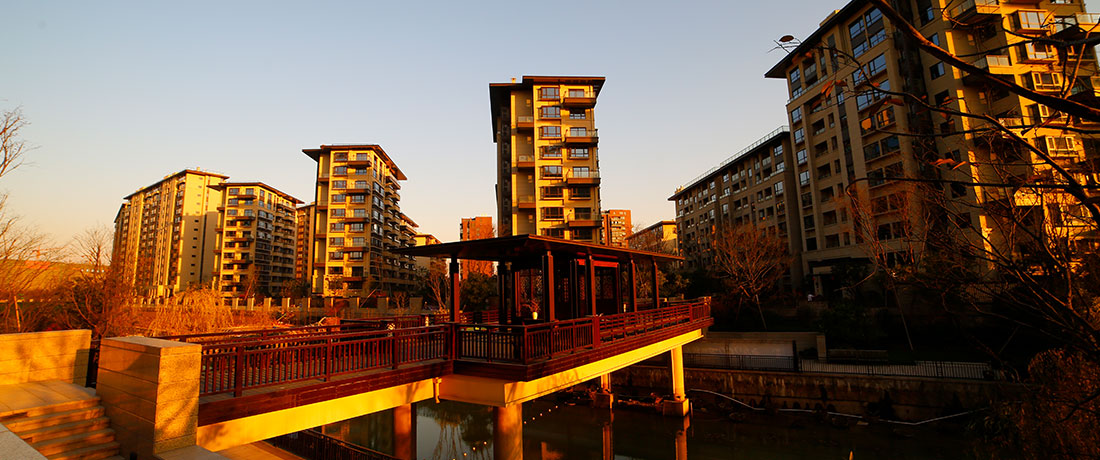 今年会 | 官方网站