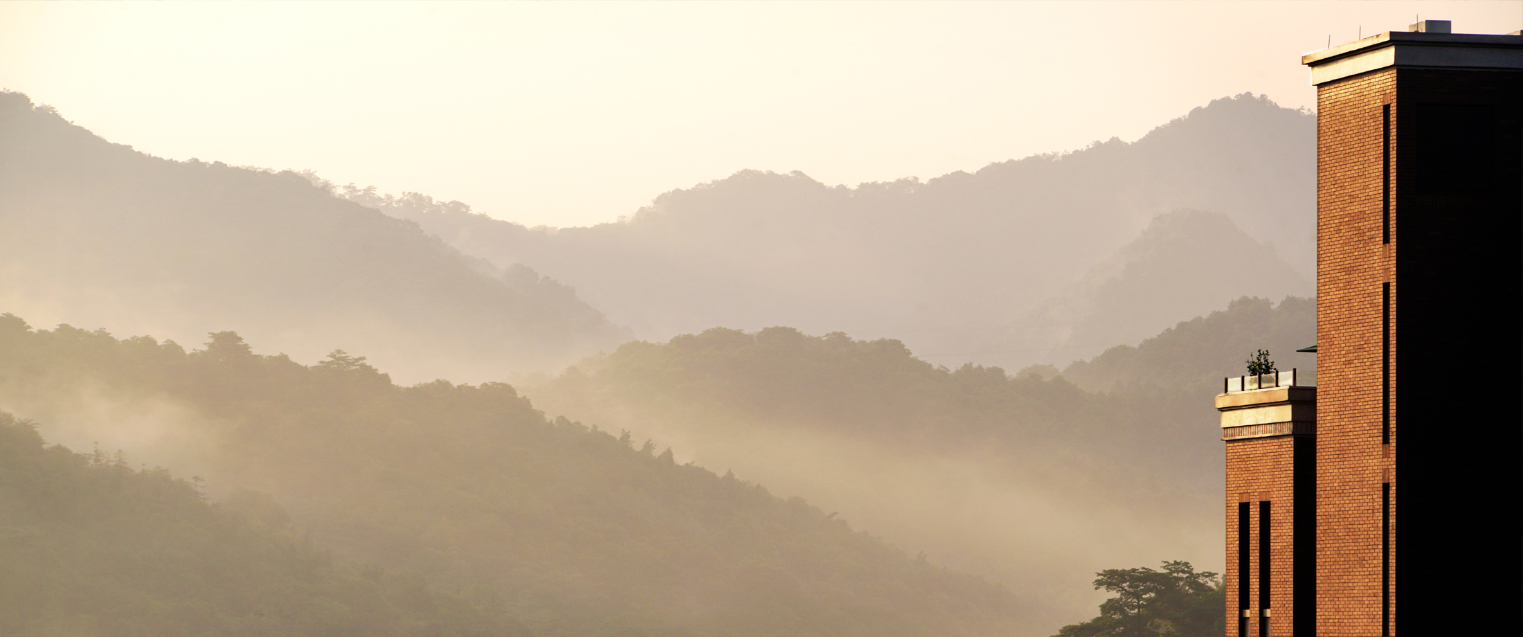 今年会 | 官方网站